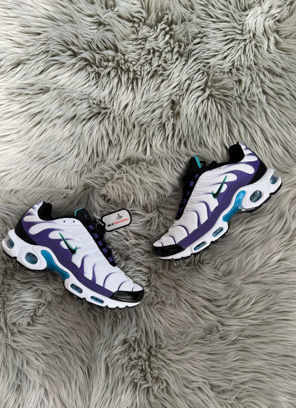 TN "PURPLE WHITE"