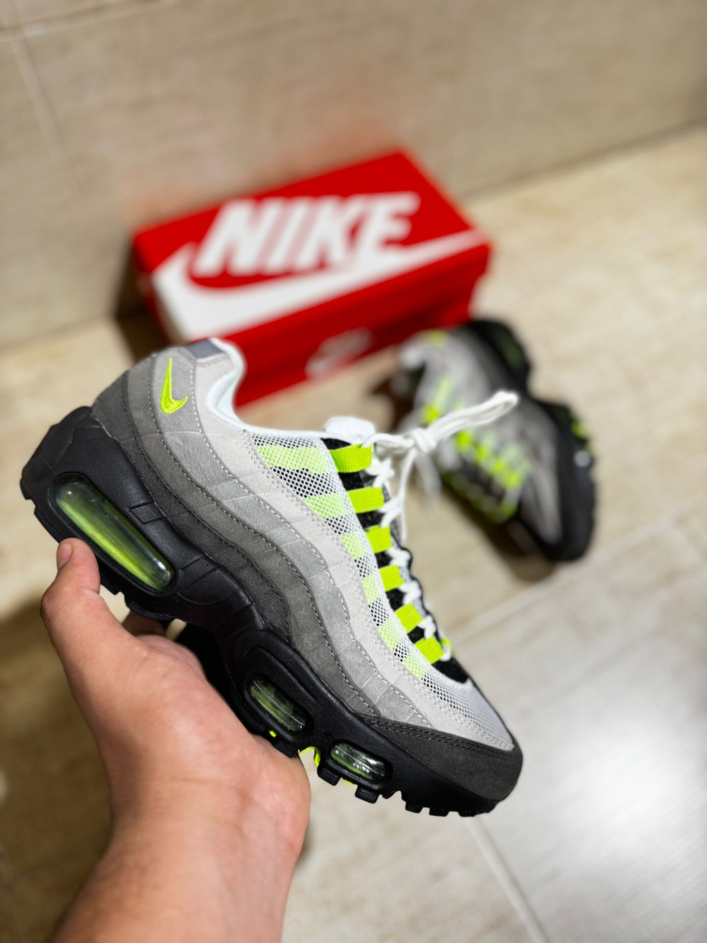 AM 95 x "Light Green"
