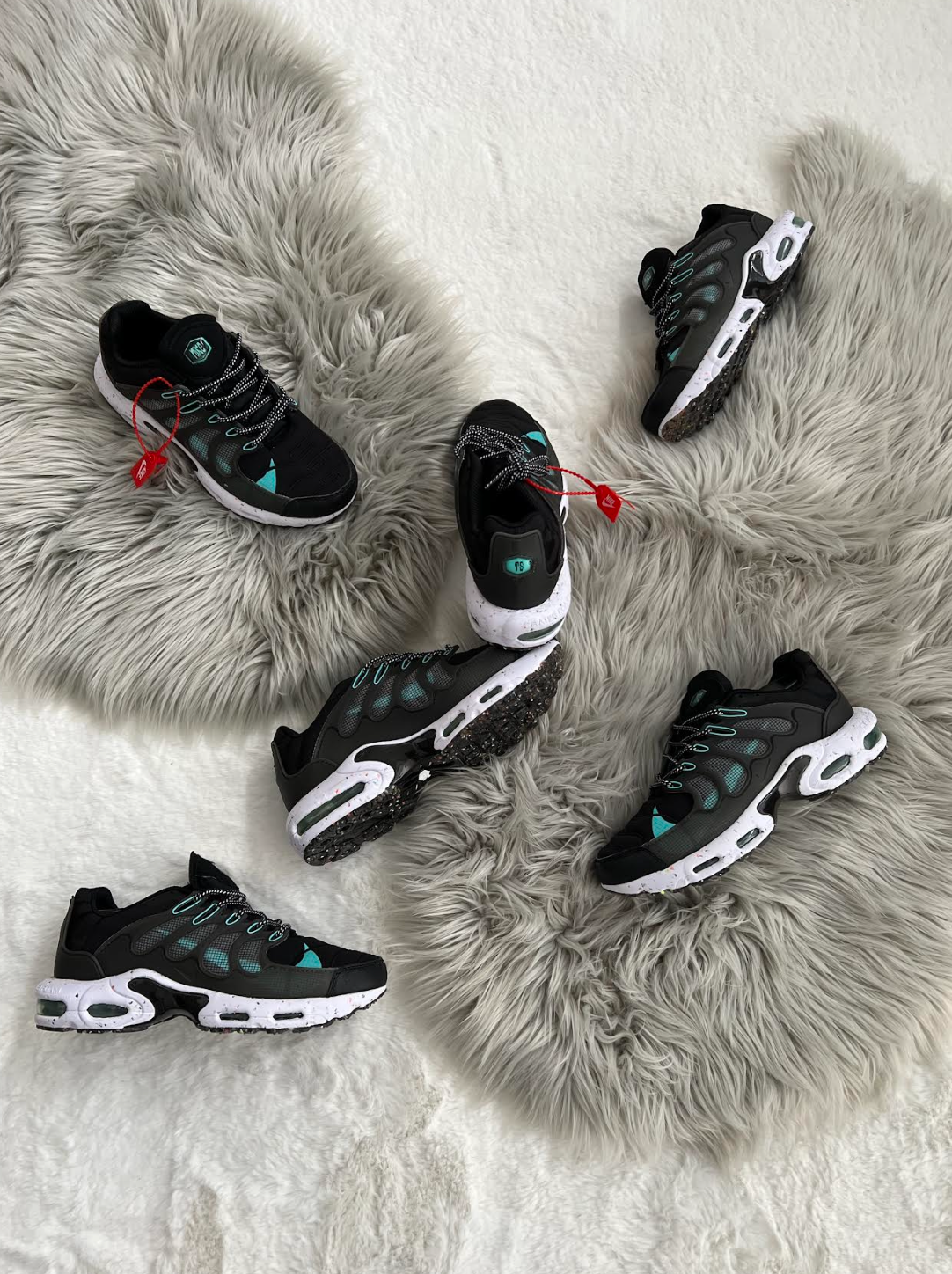 TN "New Season"