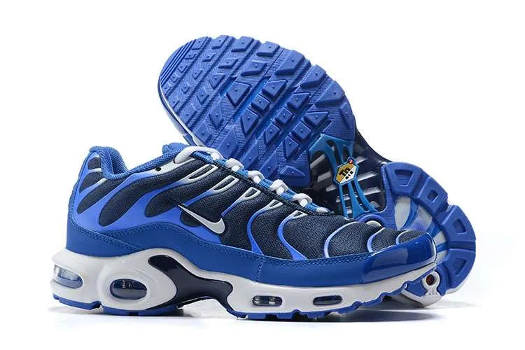 AIR MAX PLUS TN ‘ARTIC CHILL’