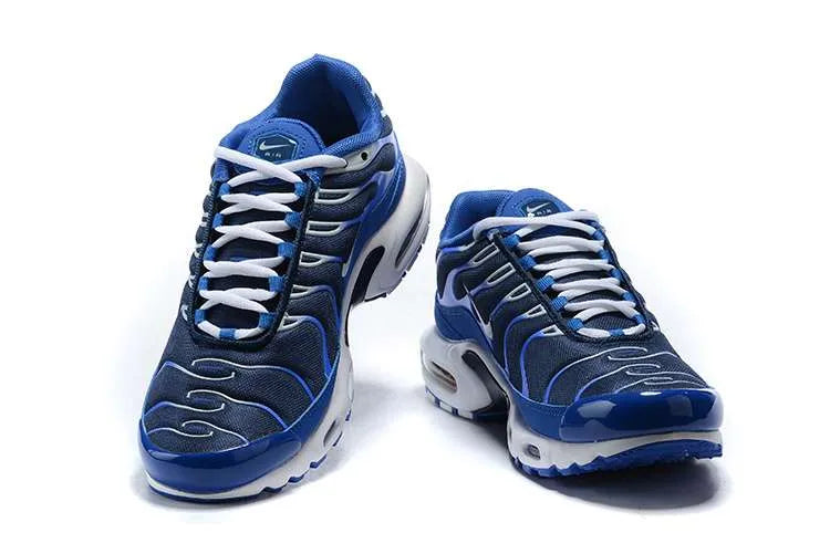 AIR MAX PLUS TN ‘ARTIC CHILL’