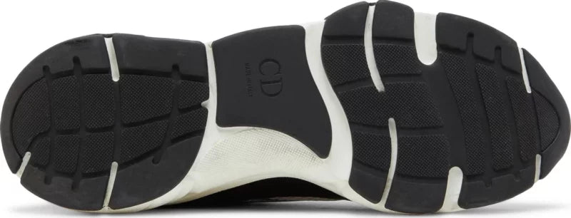 DIOR B22 ‘DEEP GREEN WHITE BLUE’