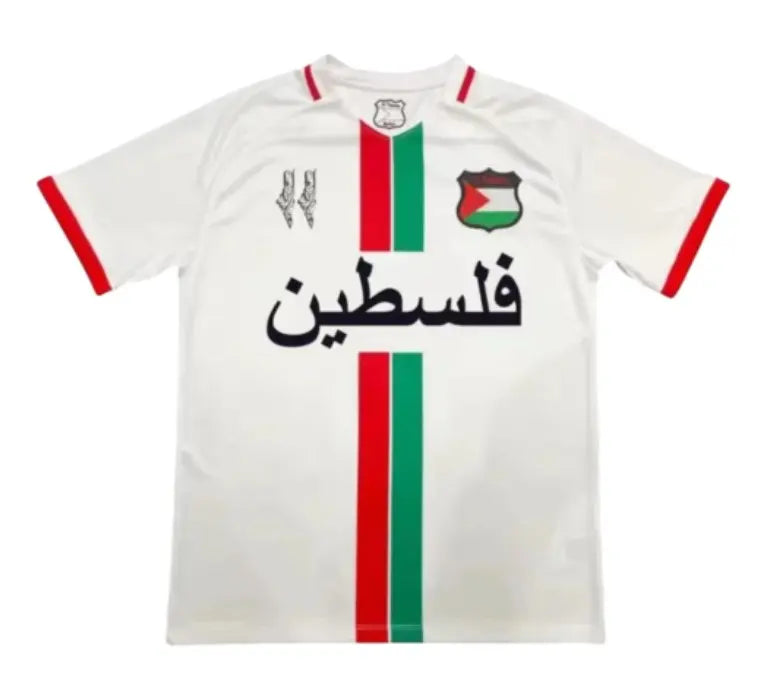 Camiseta Palestina Concepto