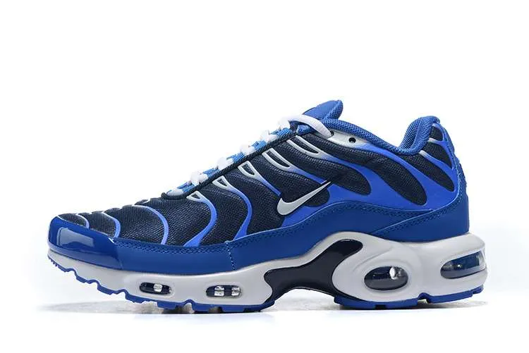 AIR MAX PLUS TN 'ARTIC CHILL'